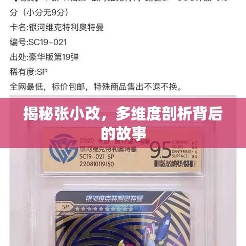 揭秘張小改，多維度剖析背后的故事