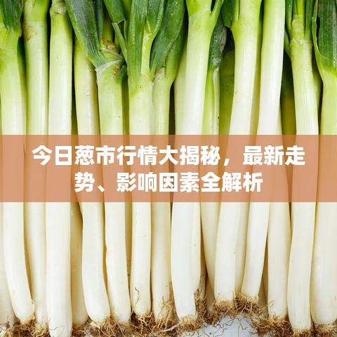 鳥吏鱉官 第6頁