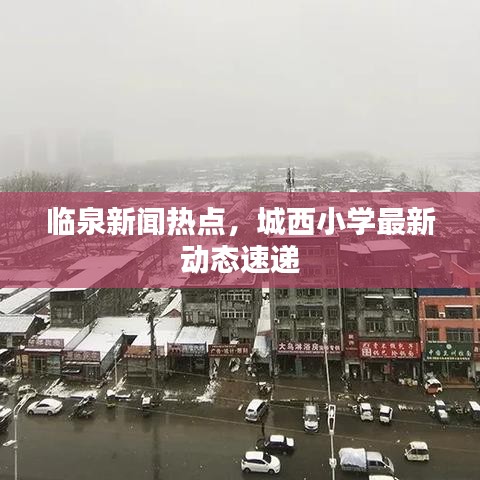 臨泉新聞熱點，城西小學最新動態(tài)速遞