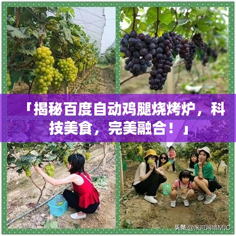 風(fēng)度翩翩 第5頁