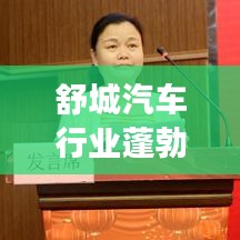 舒城汽車行業(yè)蓬勃發(fā)展，最新新聞?lì)^條速遞