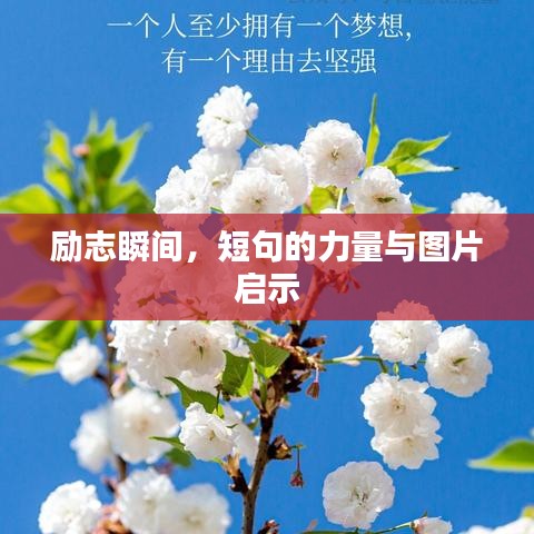 籠中之鳥 第5頁