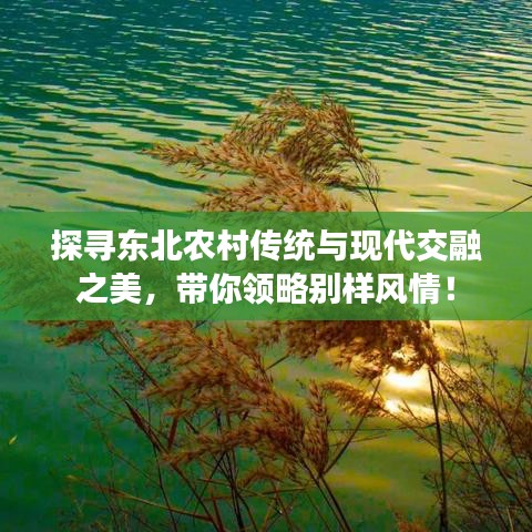 探尋東北農(nóng)村傳統(tǒng)與現(xiàn)代交融之美，帶你領(lǐng)略別樣風(fēng)情！