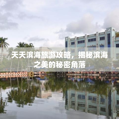 天天濱海旅游攻略，揭秘濱海之美的秘密角落