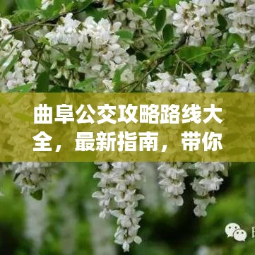 曲阜公交攻略路線大全，最新指南，帶你輕松出行！