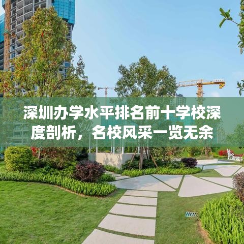 深圳辦學(xué)水平排名前十學(xué)校深度剖析，名校風(fēng)采一覽無余