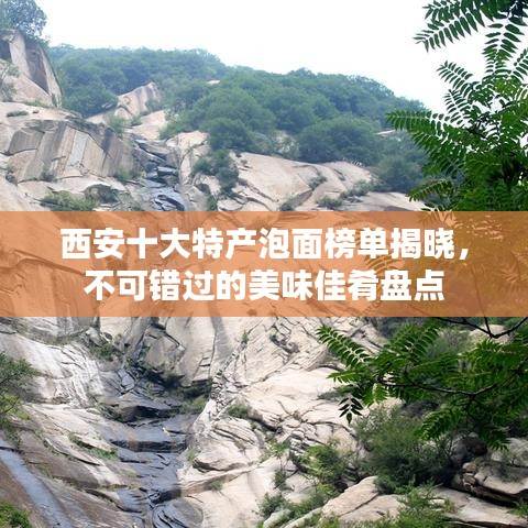 西安十大特產(chǎn)泡面榜單揭曉，不可錯過的美味佳肴盤點