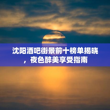 沈陽(yáng)酒吧街景前十榜單揭曉，夜色醉美享受指南