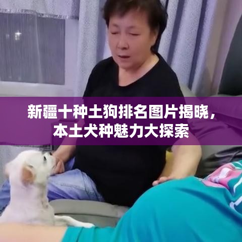 新疆十種土狗排名圖片揭曉，本土犬種魅力大探索