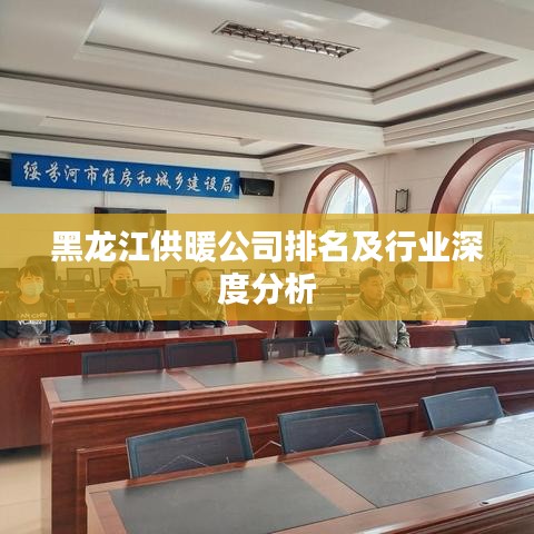 黑龍江供暖公司排名及行業(yè)深度分析