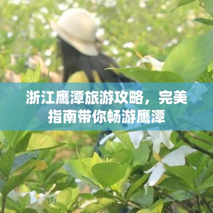 肝膽相照 第4頁(yè)
