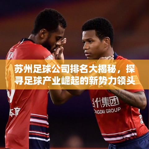 蘇州足球公司排名大揭秘，探尋足球產(chǎn)業(yè)崛起的新勢(shì)力領(lǐng)頭羊