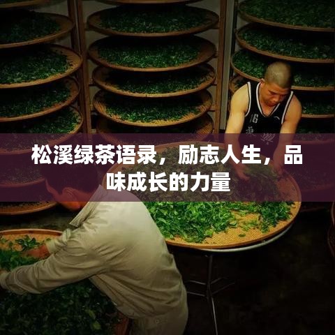 松溪綠茶語(yǔ)錄，勵(lì)志人生，品味成長(zhǎng)的力量