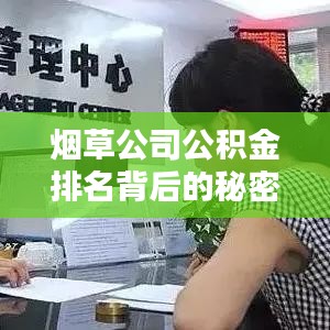 煙草公司公積金排名背后的秘密大揭秘！