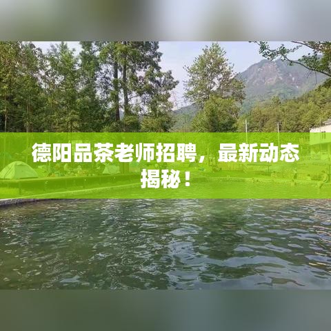 德陽品茶老師招聘，最新動態(tài)揭秘！