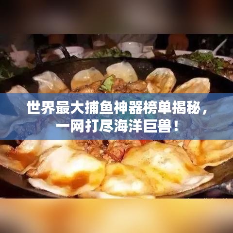 世界最大捕魚神器榜單揭秘，一網打盡海洋巨獸！