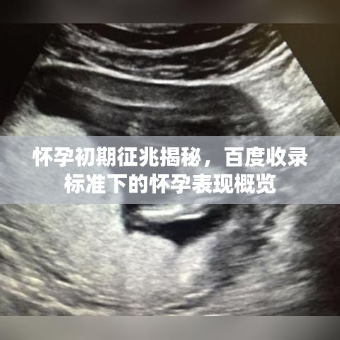懷孕初期征兆揭秘，百度收錄標(biāo)準(zhǔn)下的懷孕表現(xiàn)概覽