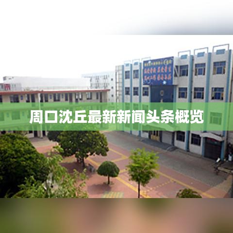 周口沈丘最新新聞?lì)^條概覽