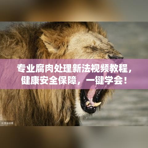 專業(yè)腐肉處理新法視頻教程，健康安全保障，一鍵學(xué)會！