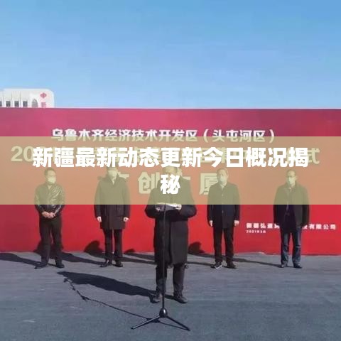 新疆最新動態(tài)更新今日概況揭秘