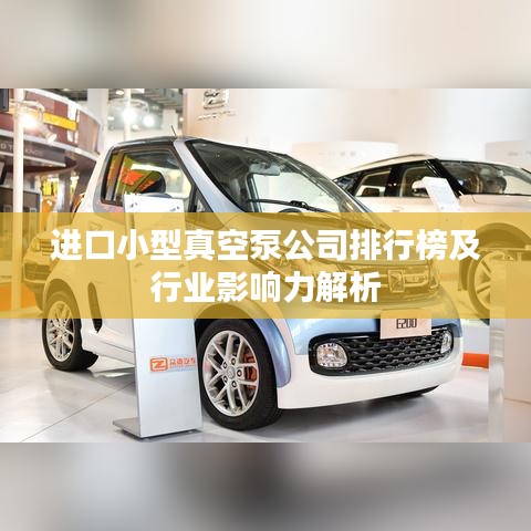 進口小型真空泵公司排行榜及行業(yè)影響力解析