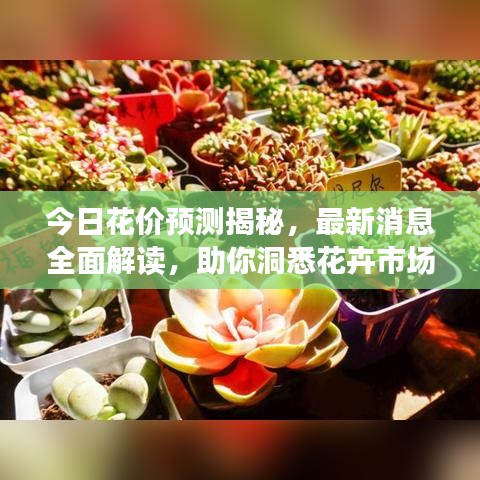 今日花價預測揭秘，最新消息全面解讀，助你洞悉花卉市場走勢！