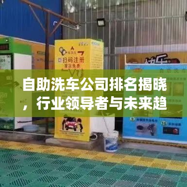自助洗車公司排名揭曉，行業(yè)領導者與未來趨勢展望