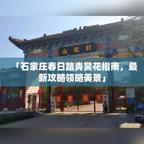 「石家莊春日踏青賞花指南，最新攻略領略美景」