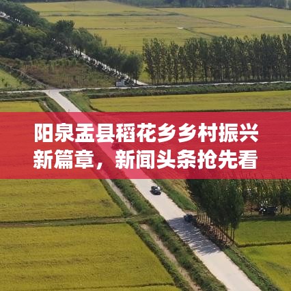 陽泉盂縣稻花鄉(xiāng)鄉(xiāng)村振興新篇章，新聞頭條搶先看