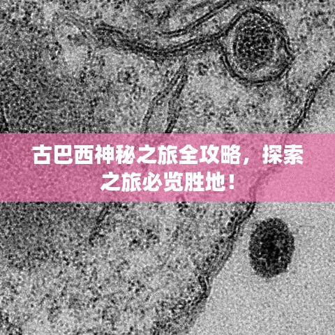 古巴西神秘之旅全攻略，探索之旅必覽勝地！