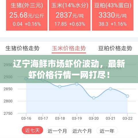 遼寧海鮮市場蝦價波動，最新蝦價格行情一網(wǎng)打盡！