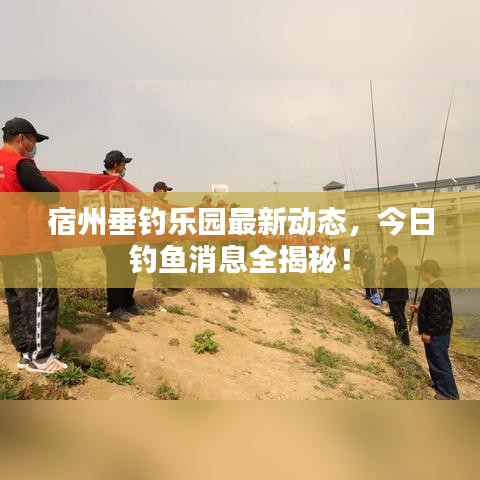 宿州垂釣樂園最新動態(tài)，今日釣魚消息全揭秘！