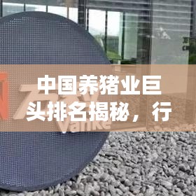 中國(guó)養(yǎng)豬業(yè)巨頭排名揭秘，行業(yè)影響力深度解析
