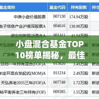 小盤混合基金TOP10榜單揭秘，最佳投資選擇深度解讀