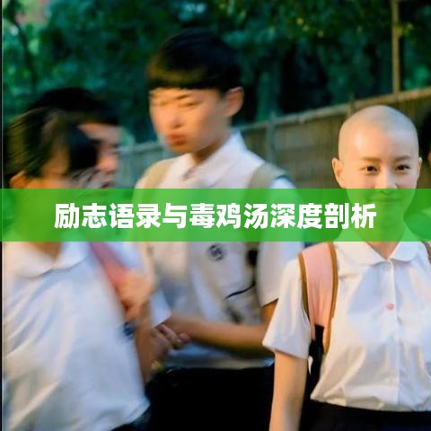 勵(lì)志語(yǔ)錄與毒雞湯深度剖析