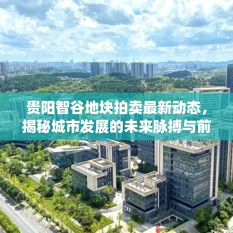 貴陽智谷地塊拍賣最新動(dòng)態(tài)，揭秘城市發(fā)展的未來脈搏與前景展望