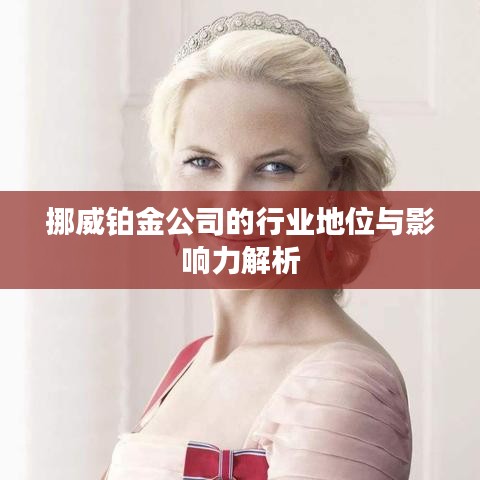 挪威鉑金公司的行業(yè)地位與影響力解析