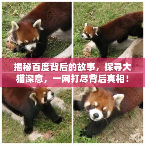屈尊就卑 第4頁