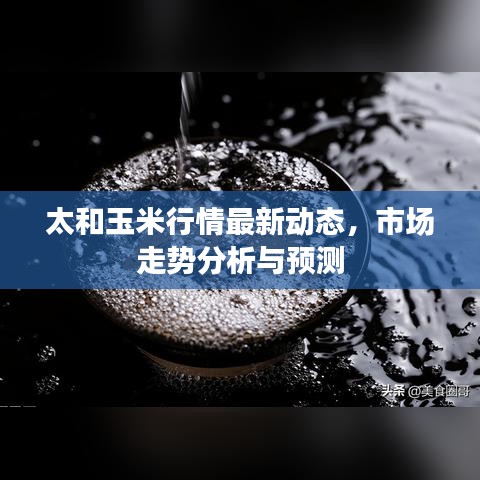 太和玉米行情最新動(dòng)態(tài)，市場(chǎng)走勢(shì)分析與預(yù)測(cè)