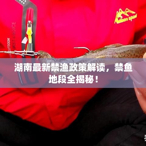 湖南最新禁漁政策解讀，禁魚地段全揭秘！
