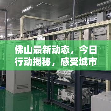 佛山最新動態(tài)，今日行動揭秘，感受城市脈搏的躍動