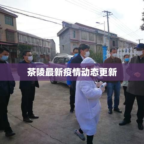 茶陵最新疫情動(dòng)態(tài)更新
