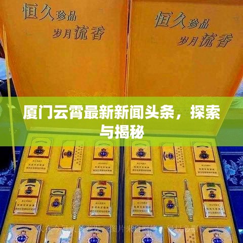 廈門云霄最新新聞頭條，探索與揭秘