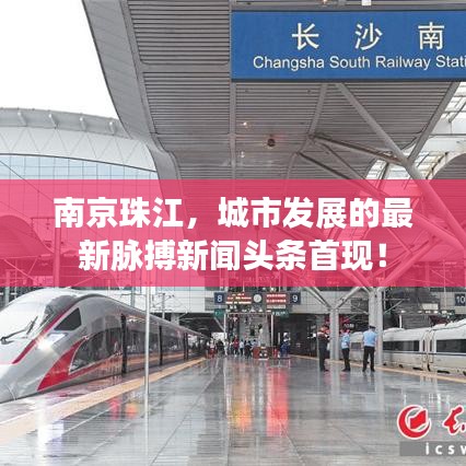 長(zhǎng)頸鳥喙 第6頁(yè)