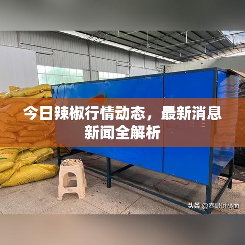 今日辣椒行情動(dòng)態(tài)，最新消息新聞全解析