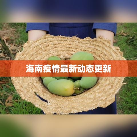 海南疫情最新動態(tài)更新