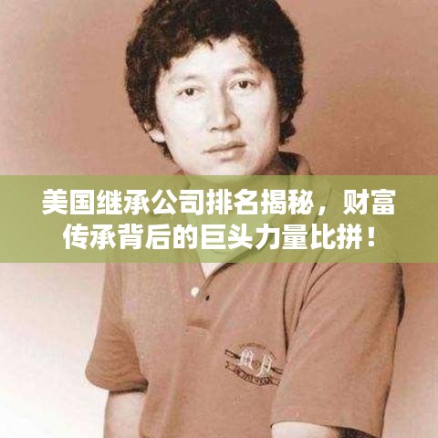 美國(guó)繼承公司排名揭秘，財(cái)富傳承背后的巨頭力量比拼！