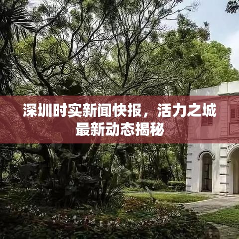 深圳時(shí)實(shí)新聞快報(bào)，活力之城最新動(dòng)態(tài)揭秘