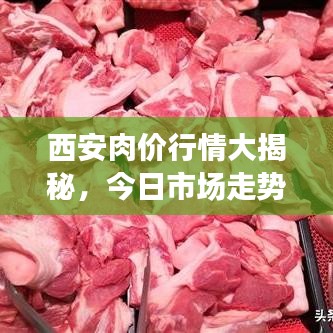 西安肉價行情大揭秘，今日市場走勢分析報告