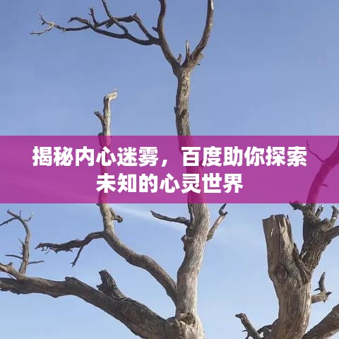 揭秘內(nèi)心迷霧，百度助你探索未知的心靈世界